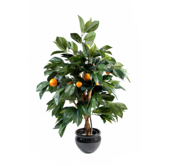 ORANGER MINI SEMI-NATUREL