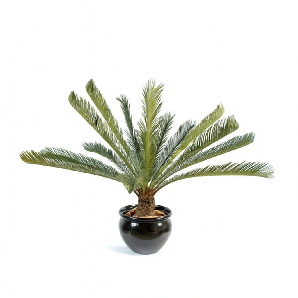 GRAND CYCAS ARTIFICIEL