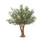 OLIVIER GÉANT ARTIFICIEL  XXL   350 cm - 430 cm