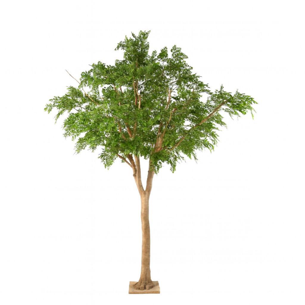 BUCIDA ARTIFICIEL XXL 300 cm - 360 cm