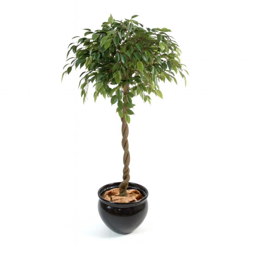Ficus Artificiel Tressé
