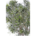 OLIVIER GÉANT ARTIFICIEL  XXL   350 cm - 430 cm