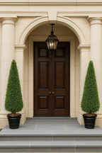 TOPIAIRE DE BUIS SEMI-NATUREL