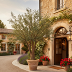 OLIVIER GÉANT ARTIFICIEL  XXL   350 cm - 430 cm