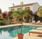 PALMIER COCO ARTIFICIEL TRONC COURBÉ