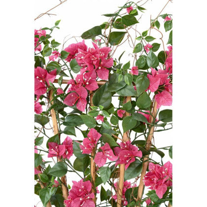 BOUGAINVILLIEE ARTIFICIEL  FUCHSIA 140 CM